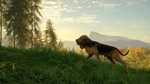 ***THEHUNTER: CALL OF THE WILD - BLOODHOUND**XBOX*КЛЮЧ