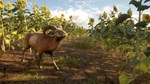 ***CALL OF THE WILD - CUATRO COLINAS GAME RESERVE*XBOX