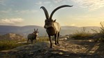 ***CALL OF THE WILD - CUATRO COLINAS GAME RESERVE*XBOX