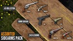 ***CALL OF THE WILD™ - ASSORTED SIDEARMS PACK*XBOX