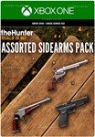 ***CALL OF THE WILD™ - ASSORTED SIDEARMS PACK*XBOX