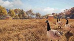 ***CALL OF THE WILD - WILD GOOSE CHASE GEAR*XBOX*