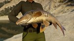***CALL OF THE WILD: THE ANGLER™ - SPAIN RESERVE*XBOX