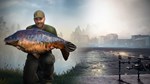 ***EURO FISHING: URBAN EDITION**XBOX ONE|XS*КЛЮЧ*