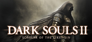 DARK SOULS™ II Steam account | Аккаунт + баланс 100$