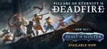Pillars of Eternity II: Deadfire (Steam | Region Free)