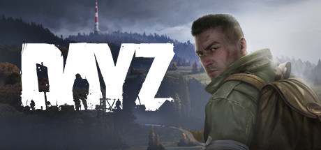 DayZ (Steam Key Region Free) + Подарок
