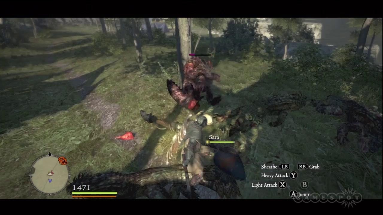 Dragon s dogma взломали. Dragon's Dogma куст виноград.