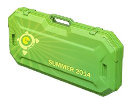 Кейс Summer 2014