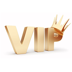 VIP (b2) Стандарт на 3 месяца