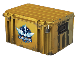 EAZYWEAPON - Случайное из VANGUARD