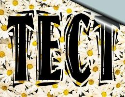 тест