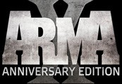Arma X: Anniversary Edition (Region free | Steam Gift)