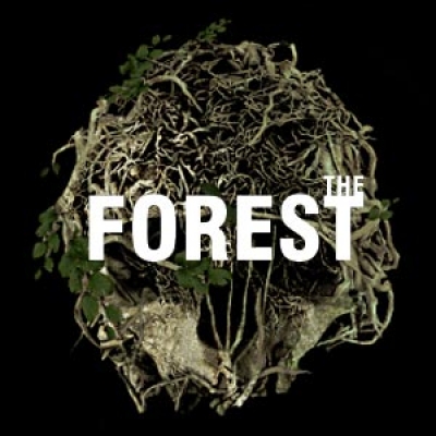 The Forest