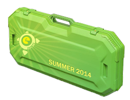 CS:GO - Случайное оружие из Summer 2014