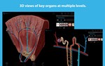 Human Anatomy Atlas 2024: Complete 3D ✅ Microsoft Store