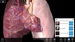 Essential Anatomy 3 ✅ Microsoft Store ПК PC Активация