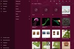 ✅Files&Folders Pro Microsoft Store Windows ПК Активация