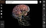 Анатомия - 3D Атлас Full Version ✅ Microsoft Store