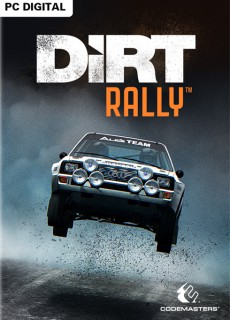 DiRT Rally (PC)