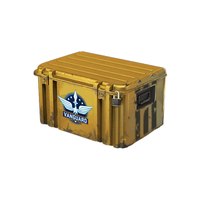 Открыть Vanguard кейс