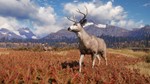 * theHunter: Call of the Wild ( Region Free ) *