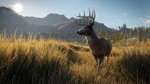 * theHunter: Call of the Wild ( Region Free ) *