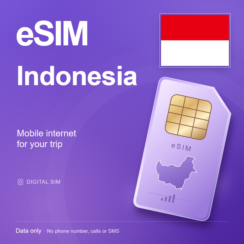 eSIM Indonesia — mobile data for travel photo 1