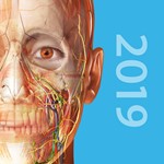 **Human Anatomy Atlas 2024 Complete 3D*MICROSOFT STORE