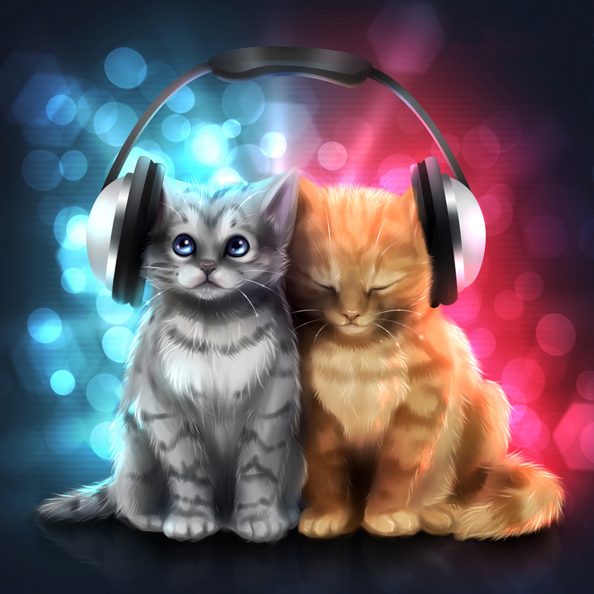 смешной кот