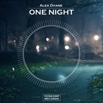 Alex Dvane - One Night (Original Mix) - irongamers.ru