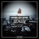Senses (Original Mix)