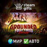*Grounded*МИР*АВТО