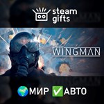 *Project Wingman*МИР*АВТО