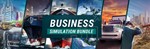 *Business Simulation Bundle*МИР*АВТО