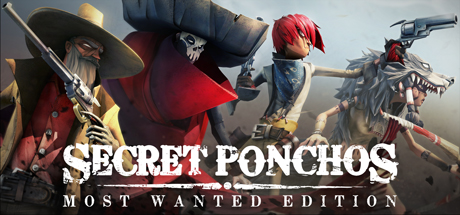Secret Ponchos (Steam Gift, RU+CIS)