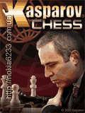 шахматы 2007 и БОНУС