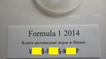 Formula 1 2014 (F1 2014) STEAM (Photo CD-Key) - irongamers.ru