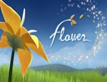 Flower / STEAM КЛЮЧ *