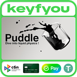 Puddle / STEAM КЛЮЧ *