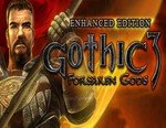 Gothic 3: Forsaken Gods Enhanced Edition / STEAM КЛЮЧ*