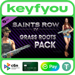Saints Row IV: Grass Roots Pack / STEAM DLC КЛЮЧ *