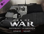 Men of War: Assault Squad 2 Ostfront Veteranen / КЛЮЧ