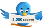 Twitter Followers 5000 Cheap Free. Buy Twitter Follower