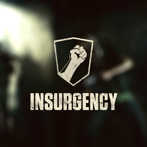 Insurgency