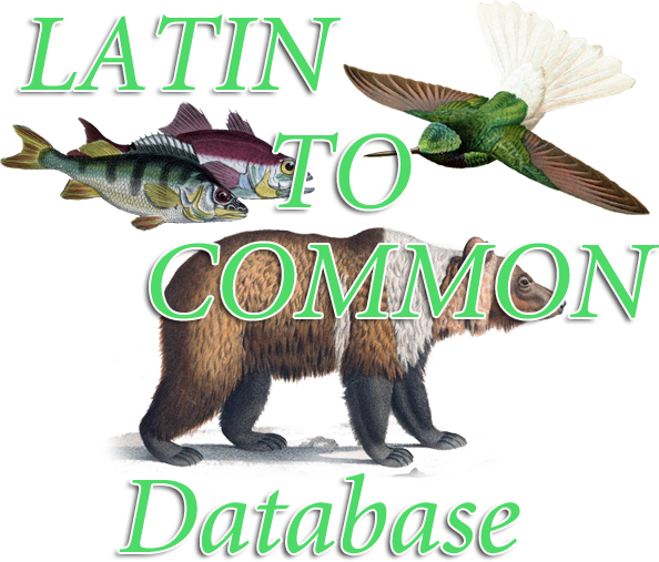 База данных латинские названия Птицы Рыбы Млекопитающие