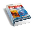 Firebird руководство разработчика баз данных, 1105 стр.