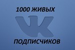 1000 subscribers VK + likes