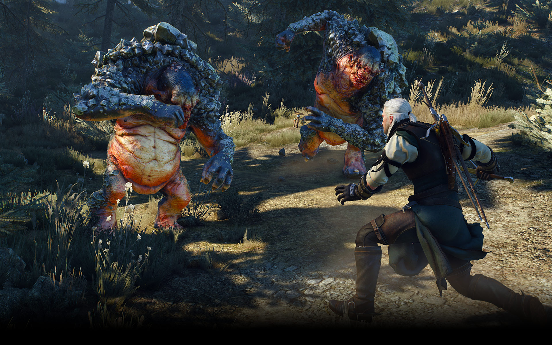 The witcher 3 wild. The Witcher 3 Wild Hunt. Ведьмак Дикая охота игра. Ведьмак 3 игра. Ведьмак 2 Дикая охота.