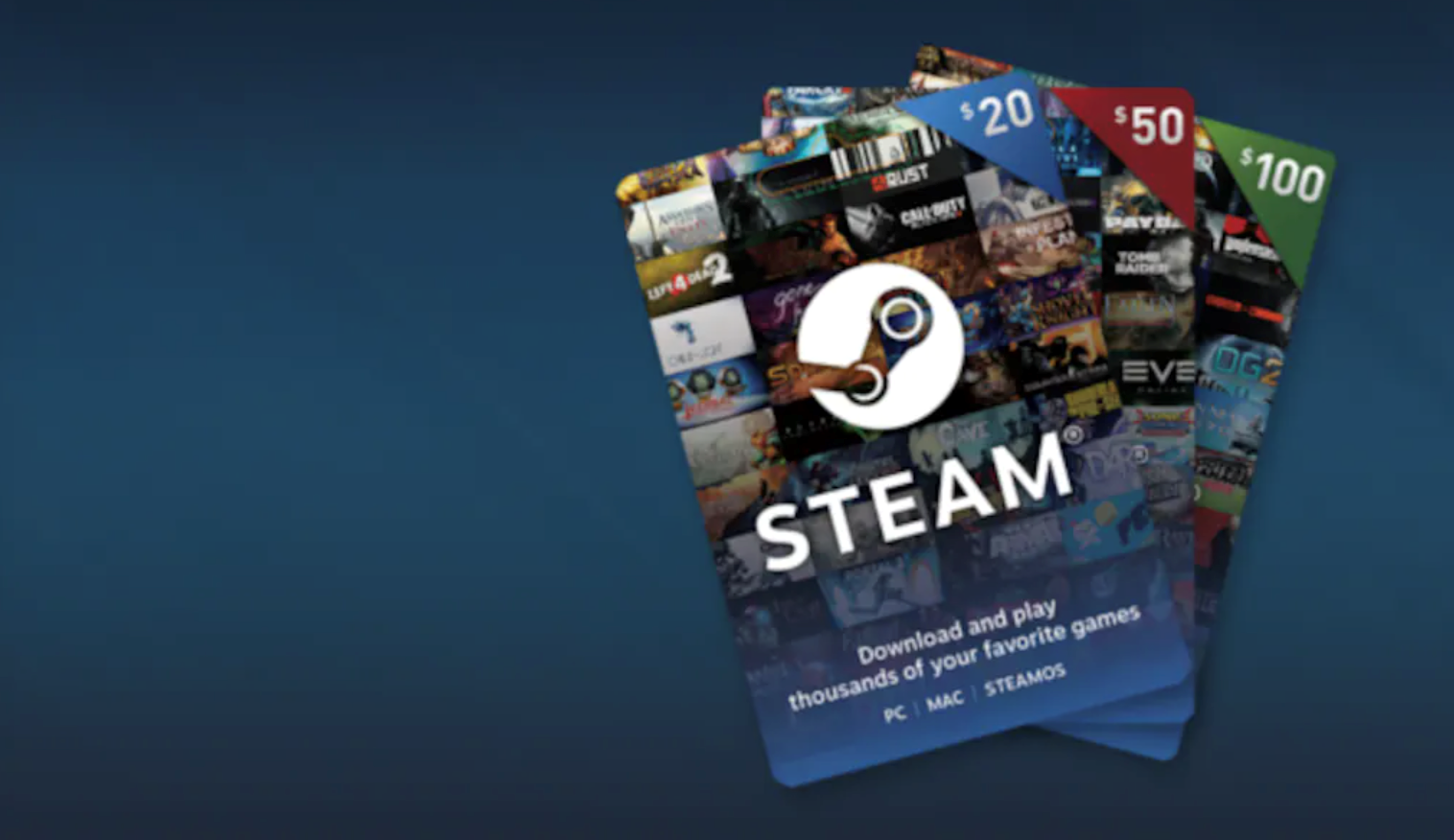 Steam 20 euro фото 13